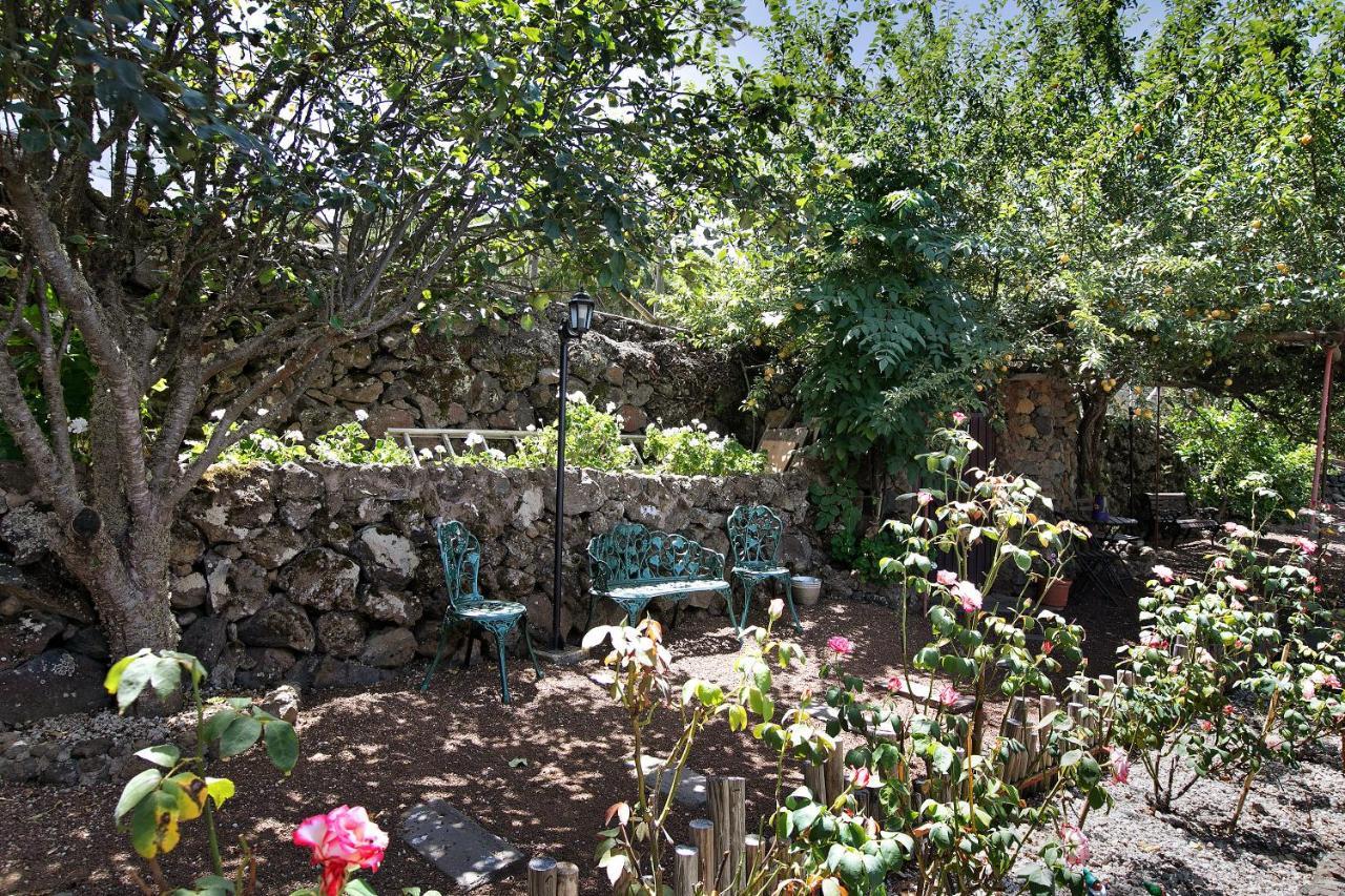 Finca Las Carmenes Icod De Los Vinos Bagian luar foto