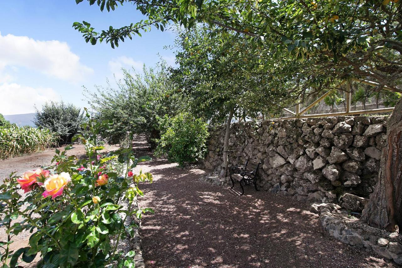 Finca Las Carmenes Icod De Los Vinos Bagian luar foto