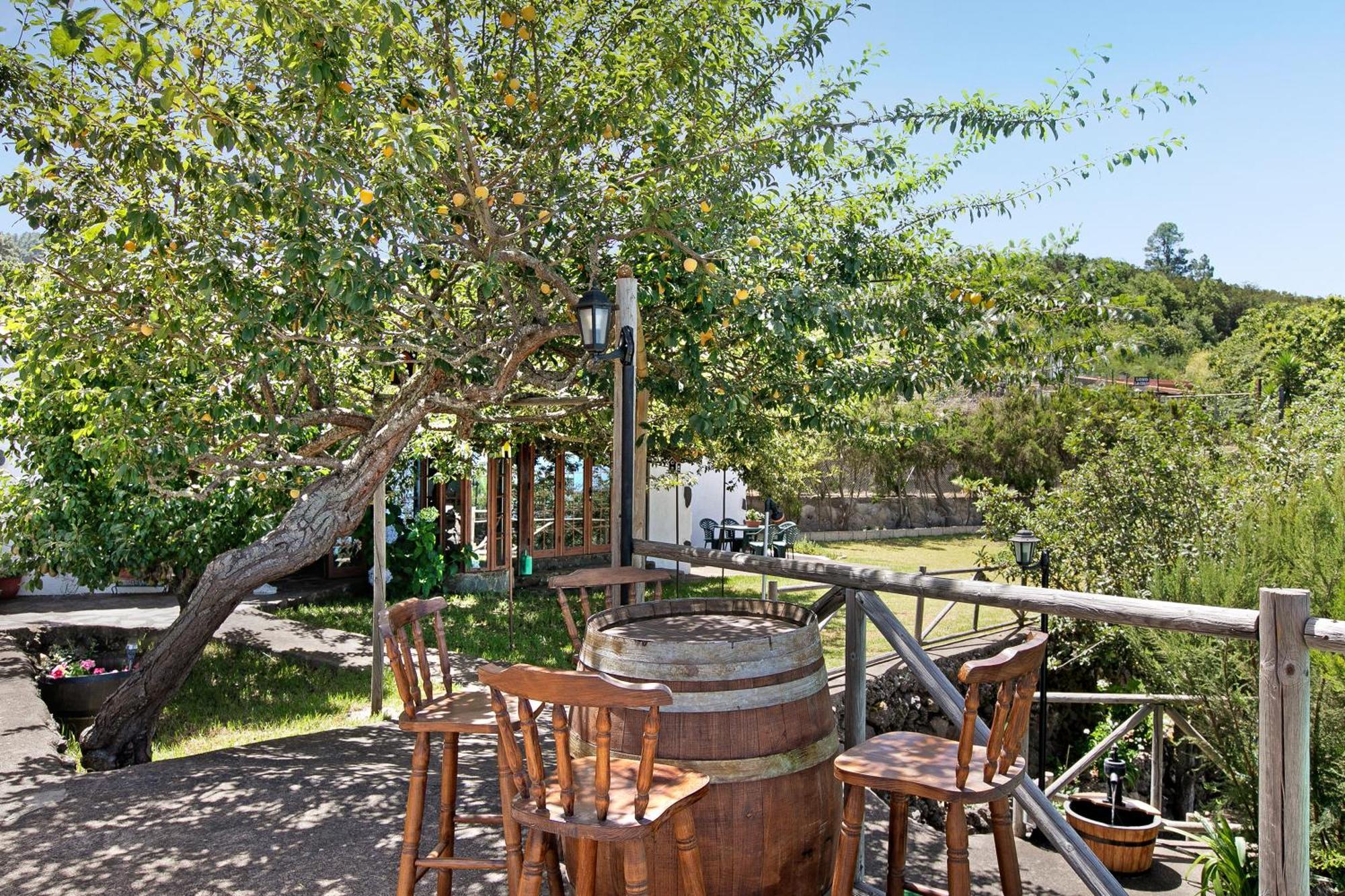 Finca Las Carmenes Icod De Los Vinos Bagian luar foto